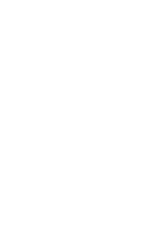 臨床心理士の森田奏の周りで突如、奇妙な出来事が起こり始める。「わんこがねぇやに　ふたしちゃろ～♪」奇妙なわらべ歌を口ずさみ、おかしくなった女性、行方不明になった兄弟、そして繰り返される不可解な変死…。